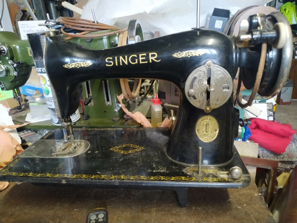 Singer 15B88 ?  Img_1491