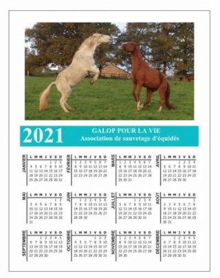 CALENDRIERS GPLV 2021 : PAR ICI ! Aperzu23
