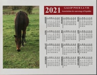 CALENDRIERS GPLV 2021 : PAR ICI !  Aperzu26