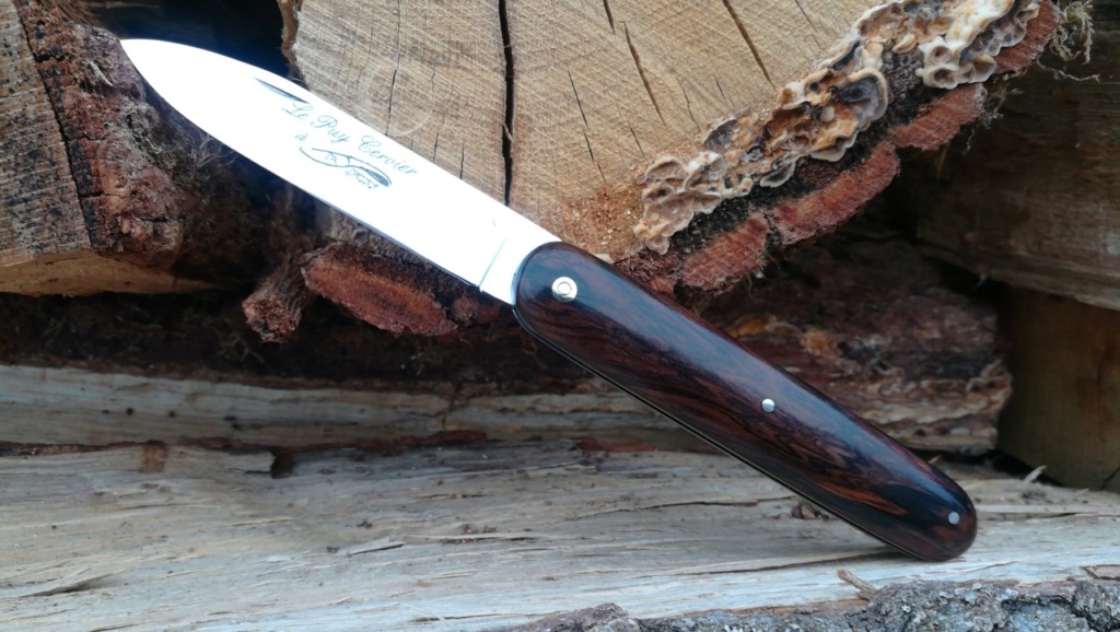 Le Puy-Cervier, le couteau des vieilles lames Puy110