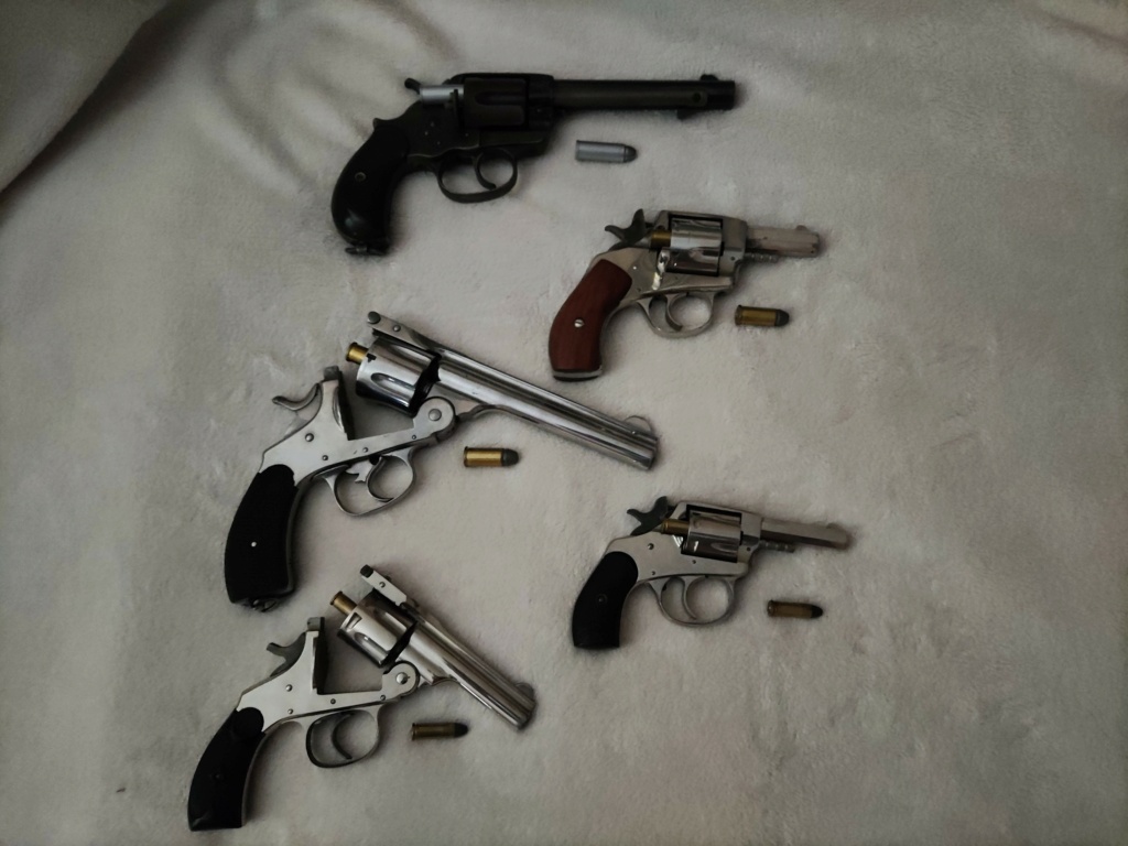 Choix d'un revolver...  Img_2012