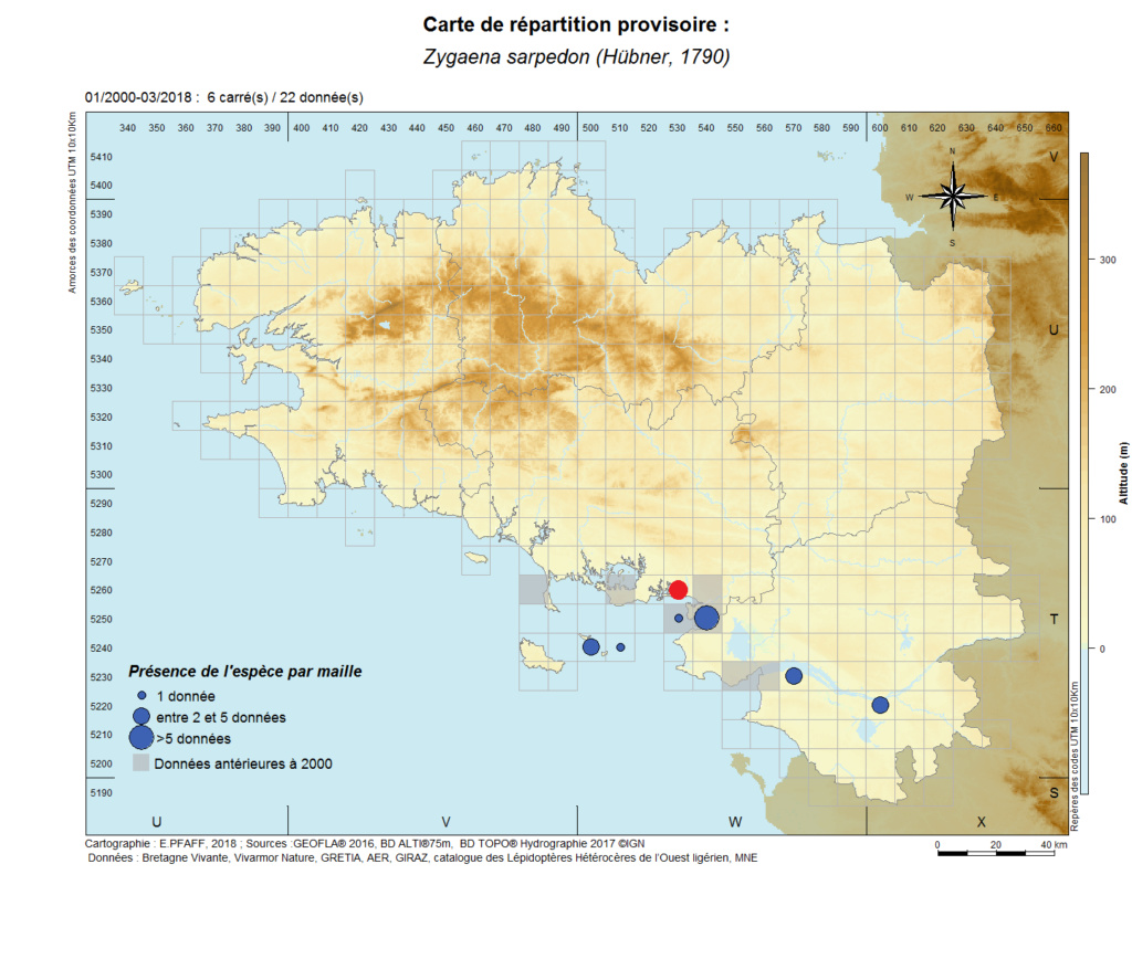 Journée de formation/prospection aux invertébrés dans l'estuaire de Vilaine Zygaen14