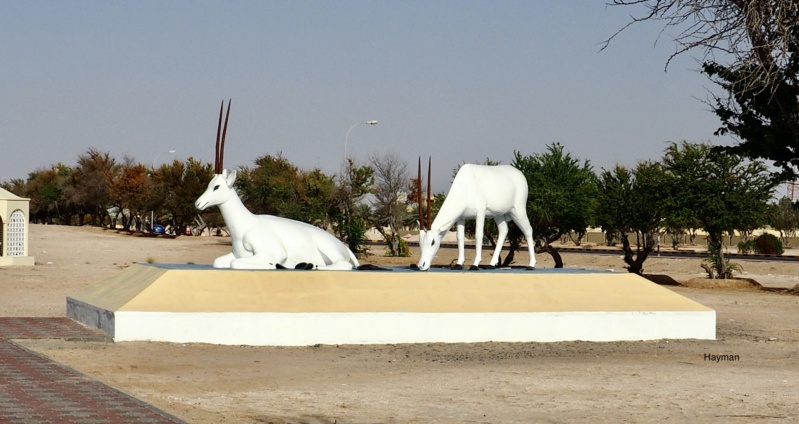 Carnet de voyage au Sultanat d'Oman Baa05510