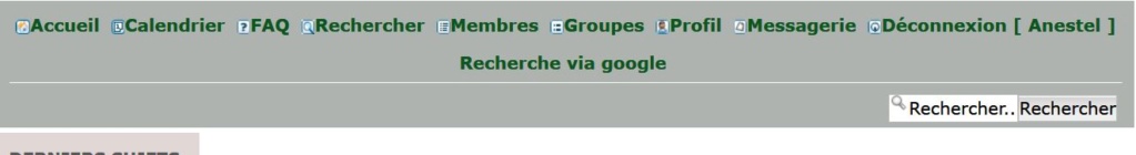 Comment afficher "Recherche Via google" Bandea10