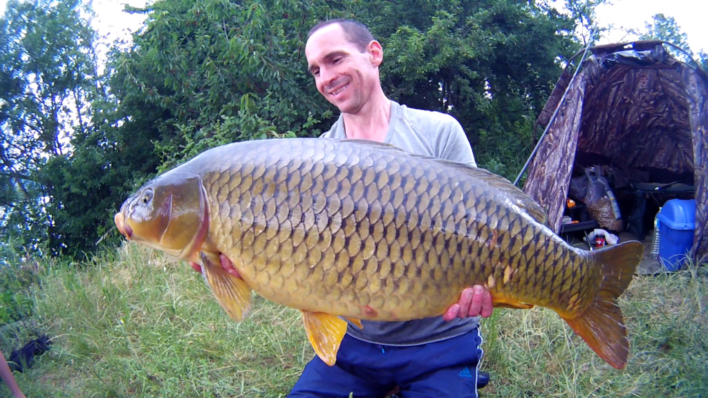 Première sortie sur le grands rhône et premires fishs 15kg10