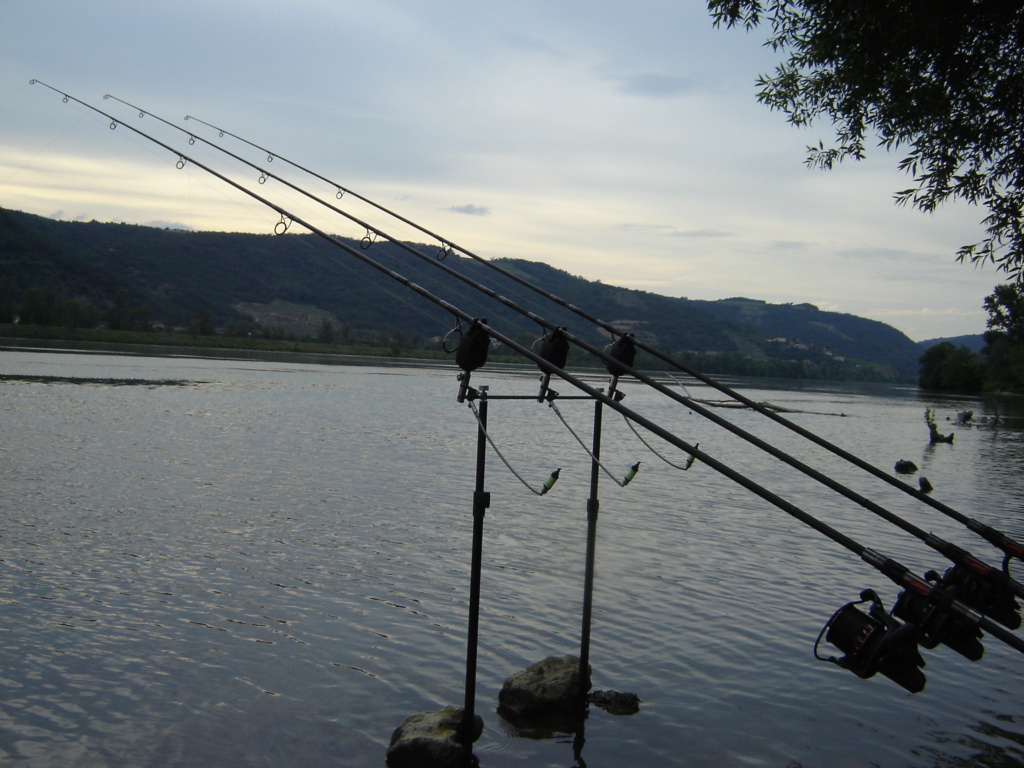 Première sortie sur le grands rhône et premires fishs Dsc00014