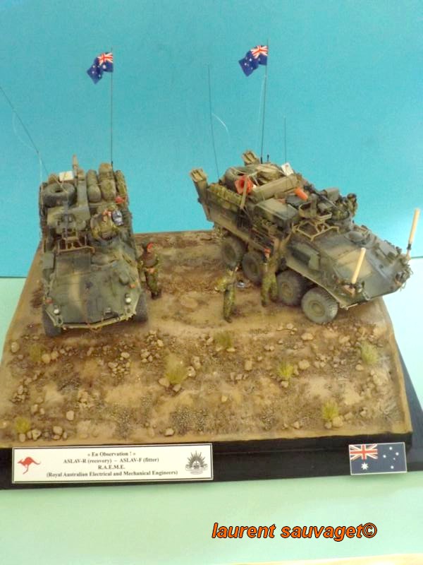 ASLAV-R & ASLAV-F en Observation - Page 2 K800_313