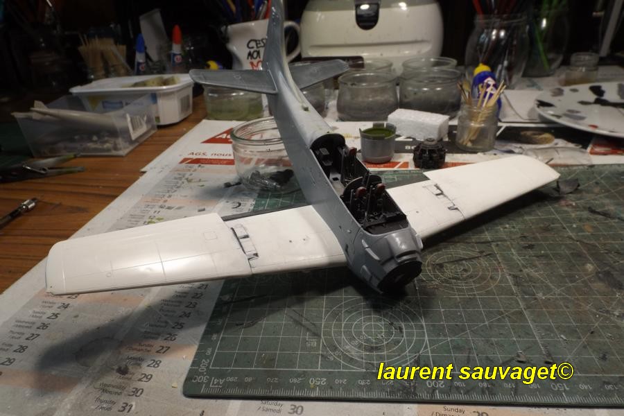 Skyraider AD-5 K800_475
