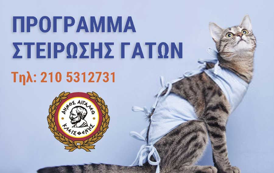 Νέο Πρόγραμμα Στειρώσεων για γάτες στο Δήμο Αιγάλεω  Cats-p11