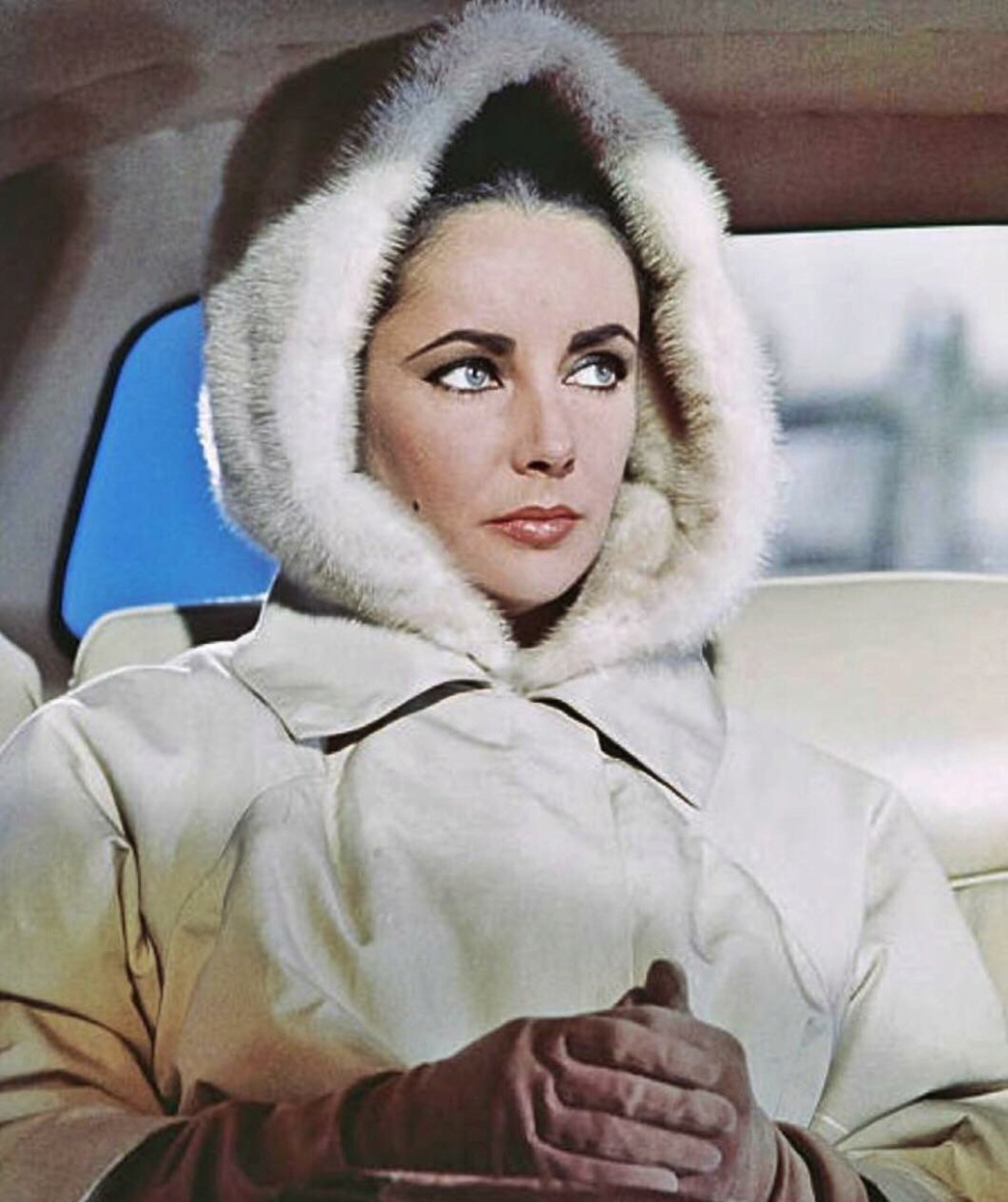 ELIZABETH TAYLOR 17204110