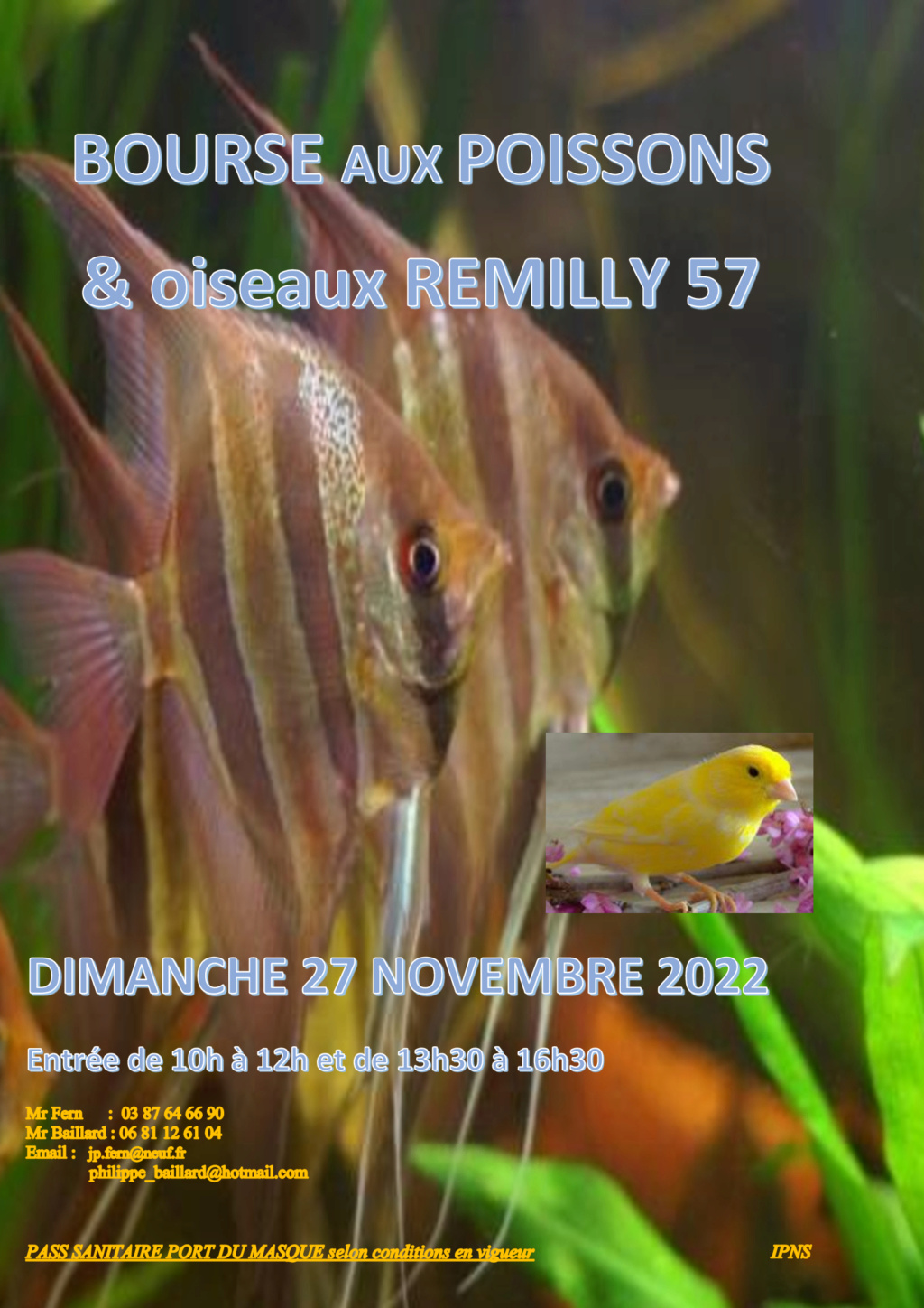 REMILLY BOURSE aux Poissons Dimanche 27 Novembre 2022 Affich13