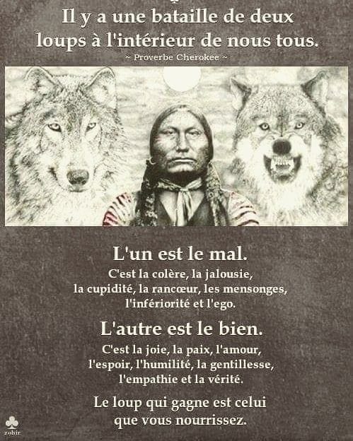 Bataille des deux loups 25612310