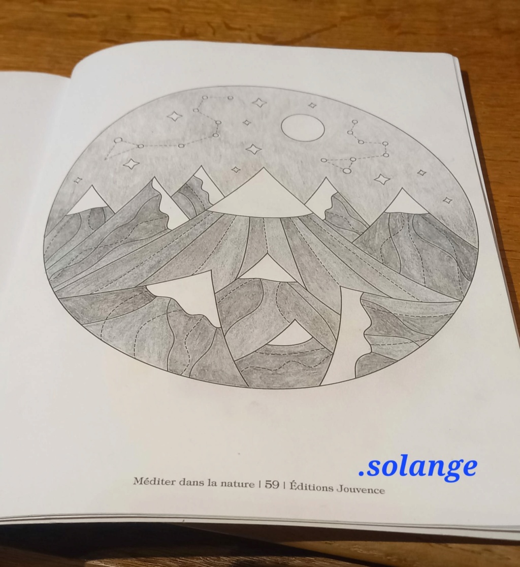 Défi de Janvier 2023 : Un coloriage hivernal monochrome - Page 2 32196711