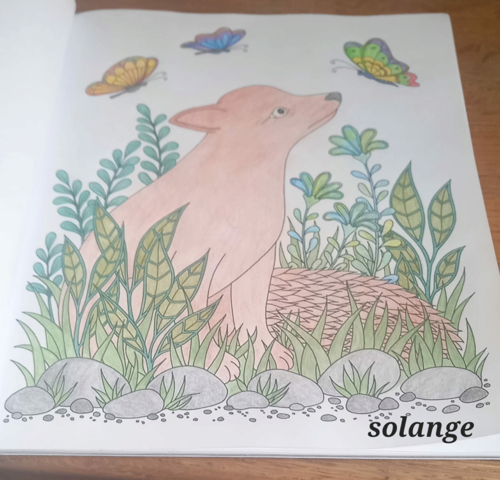 La galerie de solange - Page 29 34724511