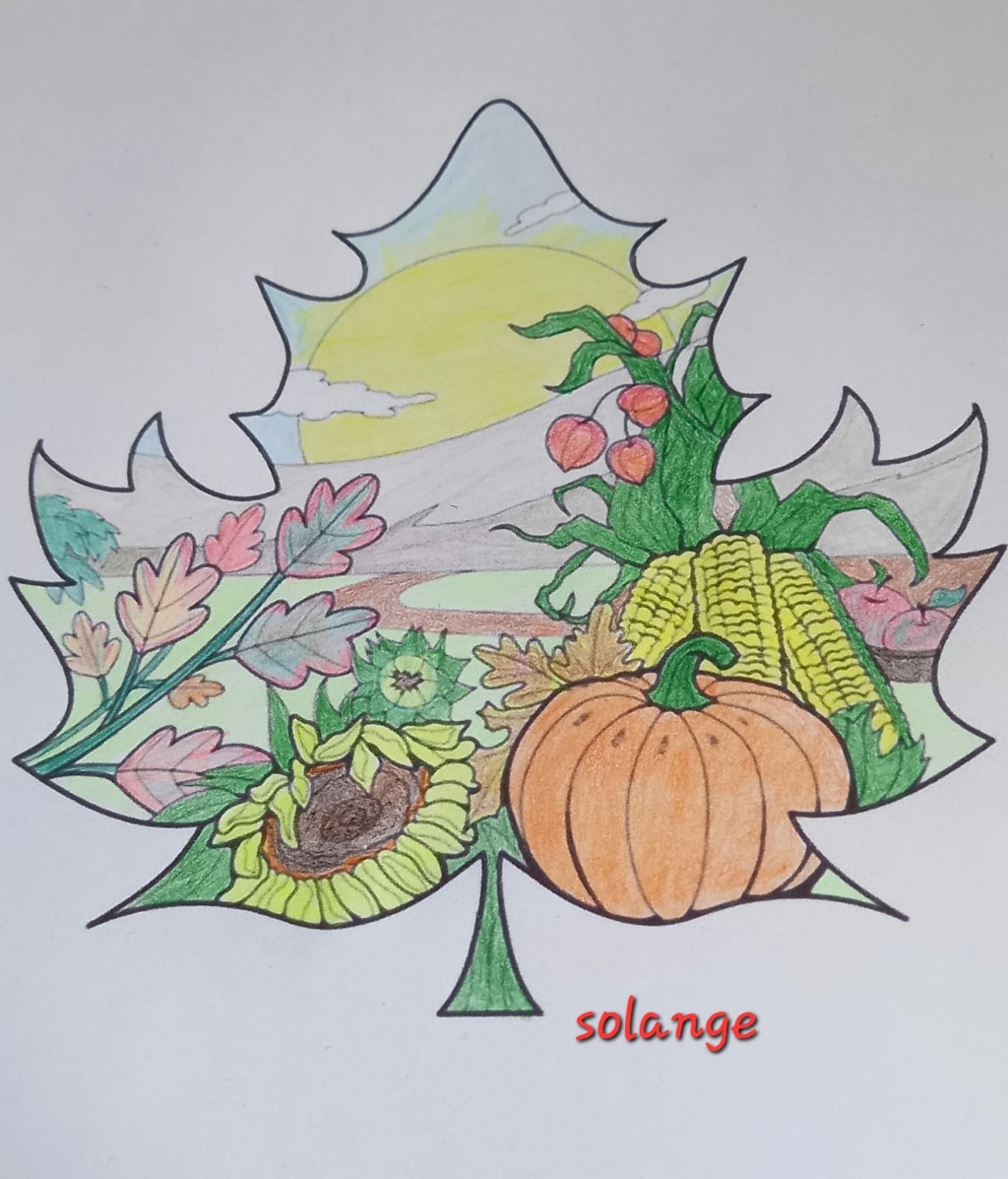 DEFI du mois d'octobre 2023:un paysage de la nature avec des couleurs automnales !! Rouge, Orange, Jaune ...... 38298710