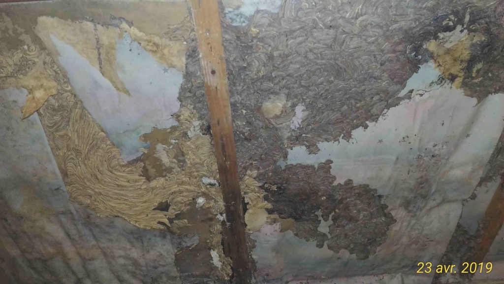 Gros dégâts sur rampant en lambris chambre à coucher _3_tra12