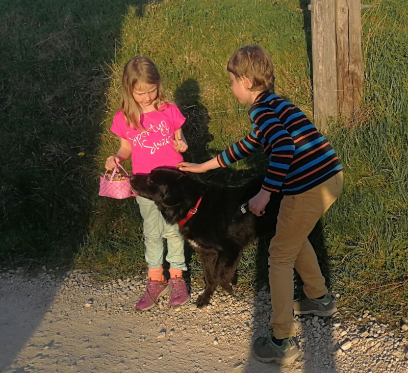 JACK, croisé Border Collie, 5 ans - Page 3 Img_2083