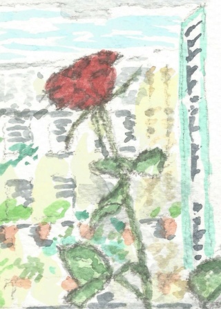 Rosas de San Jorge Bodego34