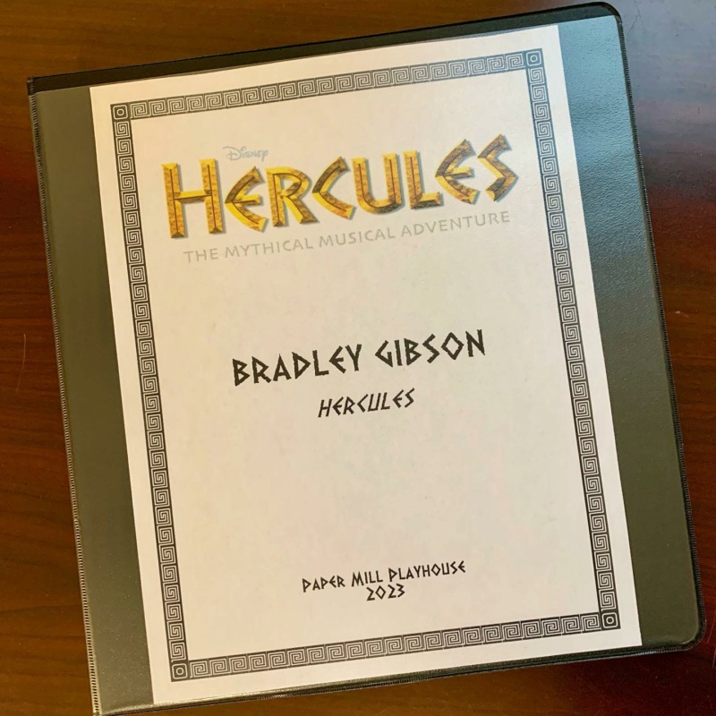 2019 - Hercule [Musical - 2019] 32381510