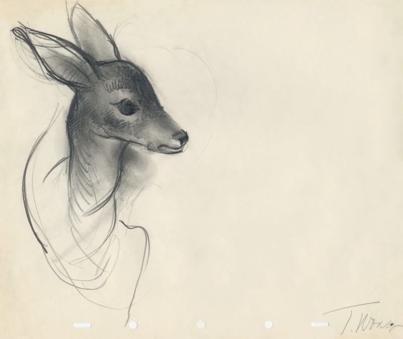 waltdisneyanimationstudios - Bambi [Walt Disney - 1942] - Page 34 Fadmbl10