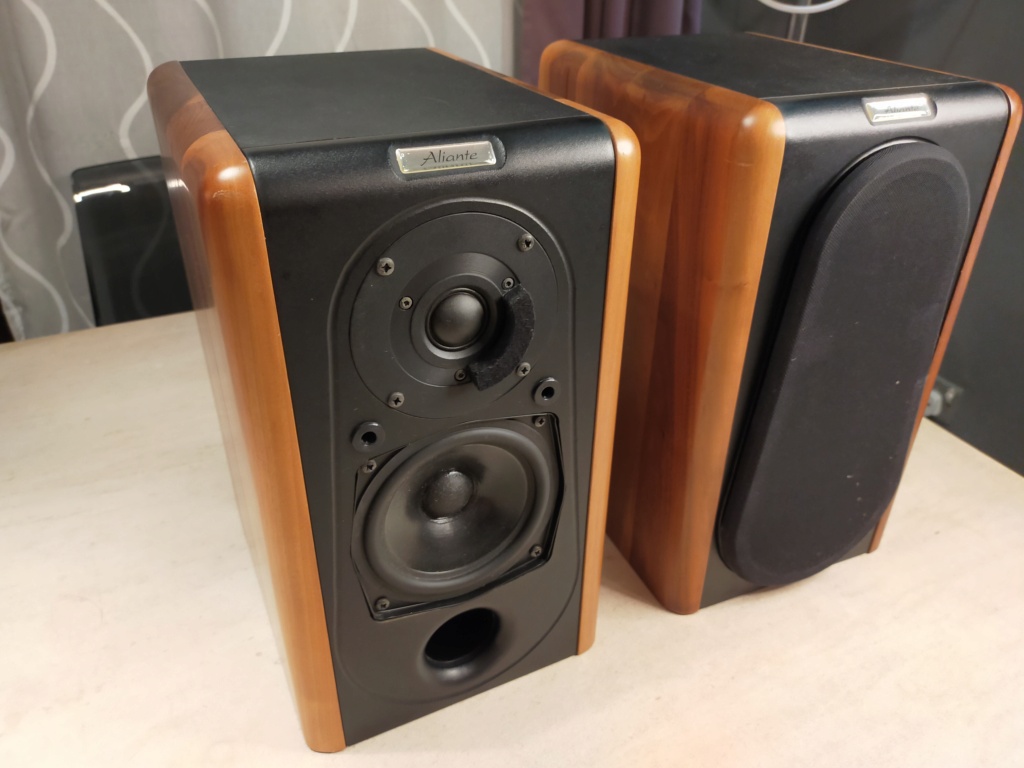 Aliante Bookshelf Speakers (with solid walnut finished) Img20214