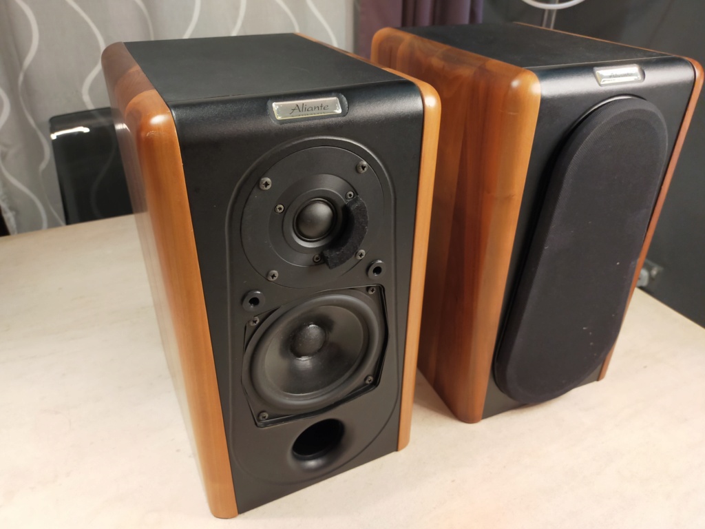 Aliante Bookshelf Speakers (with solid walnut finished)  Img20214