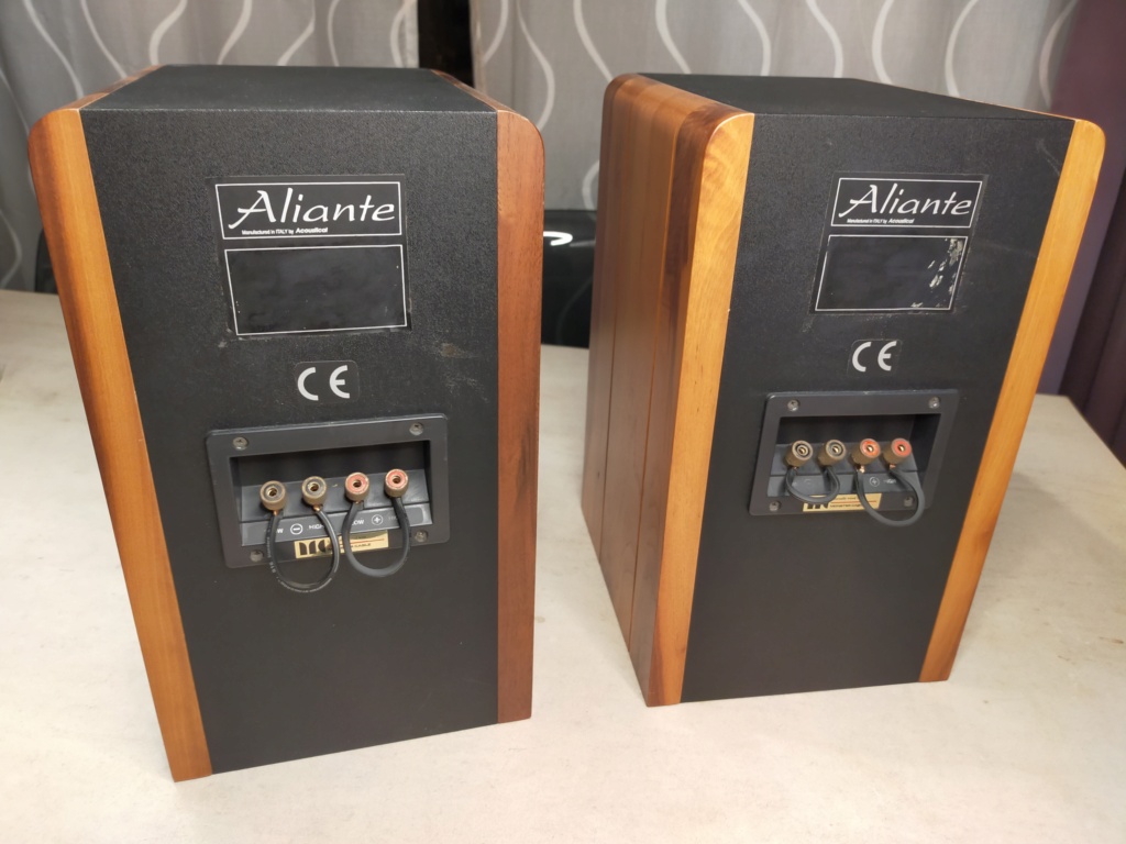 Aliante Bookshelf Speakers (with solid walnut finished)  Img20215