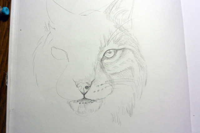 Portrait Lynx  Dsc_3123