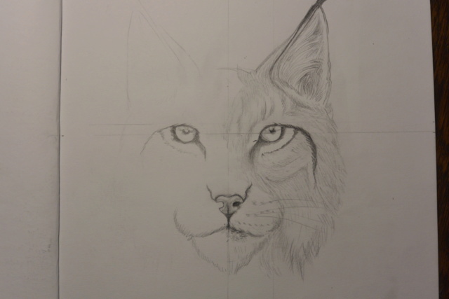 Portrait Lynx  Dsc_3127