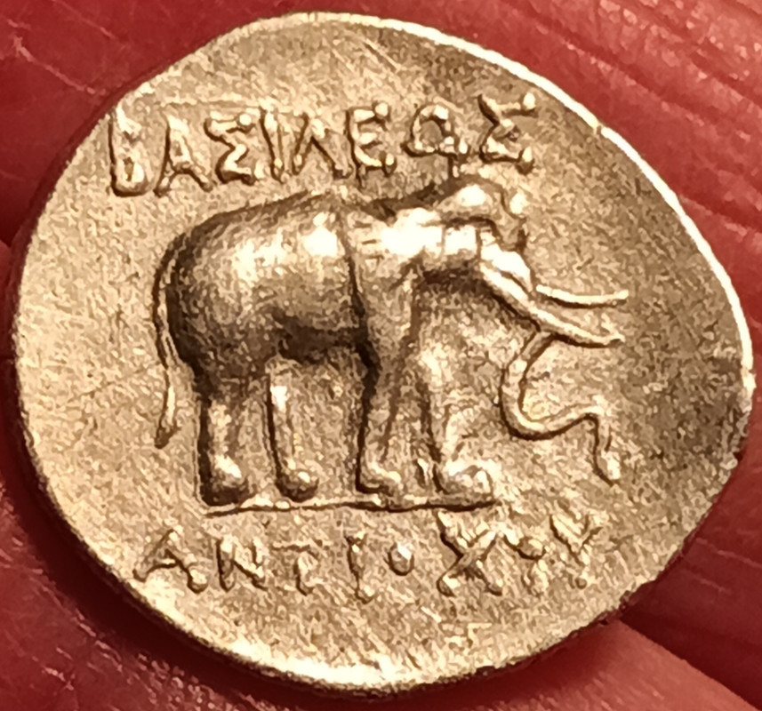 Dracma de Antíoco III. ΒΑΣΙΛΕΩΣ  ANTIOXOY. Elefante parado a la derecha. Apamea del Orontes (?) Img-2017