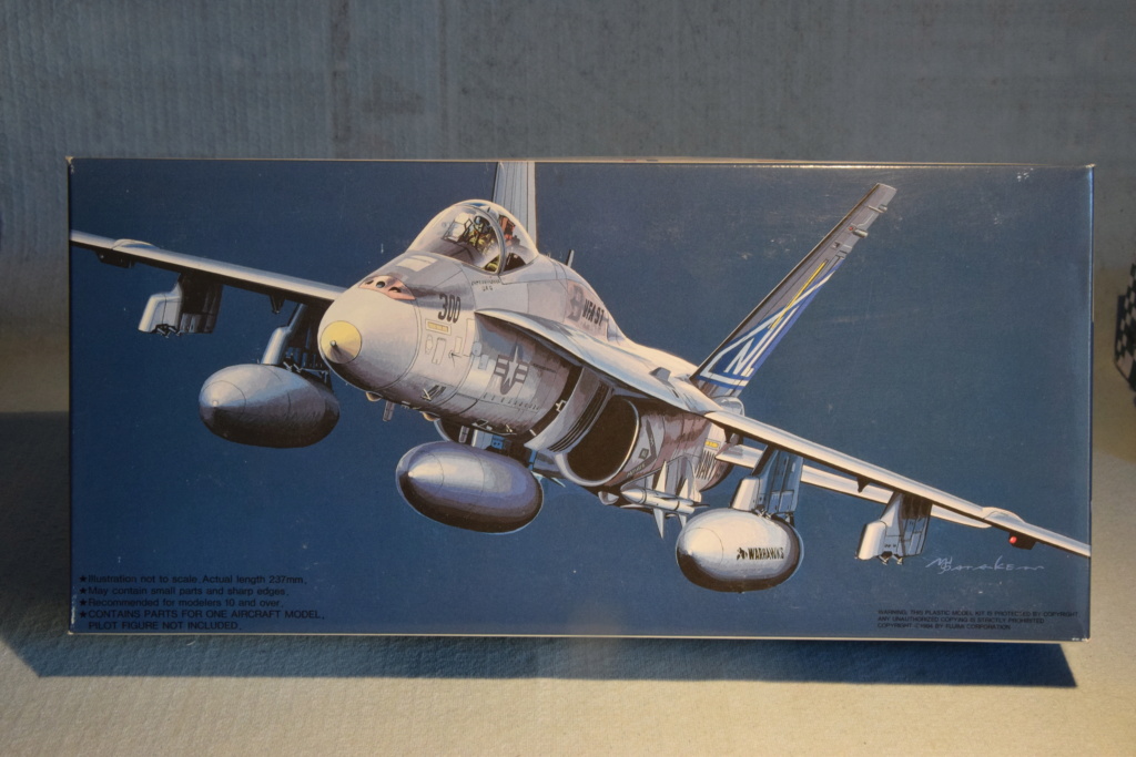 F/A-18A "Hornet" - Fujimi - 1/72 : Attaque de "Frelons" en Somalie 00111
