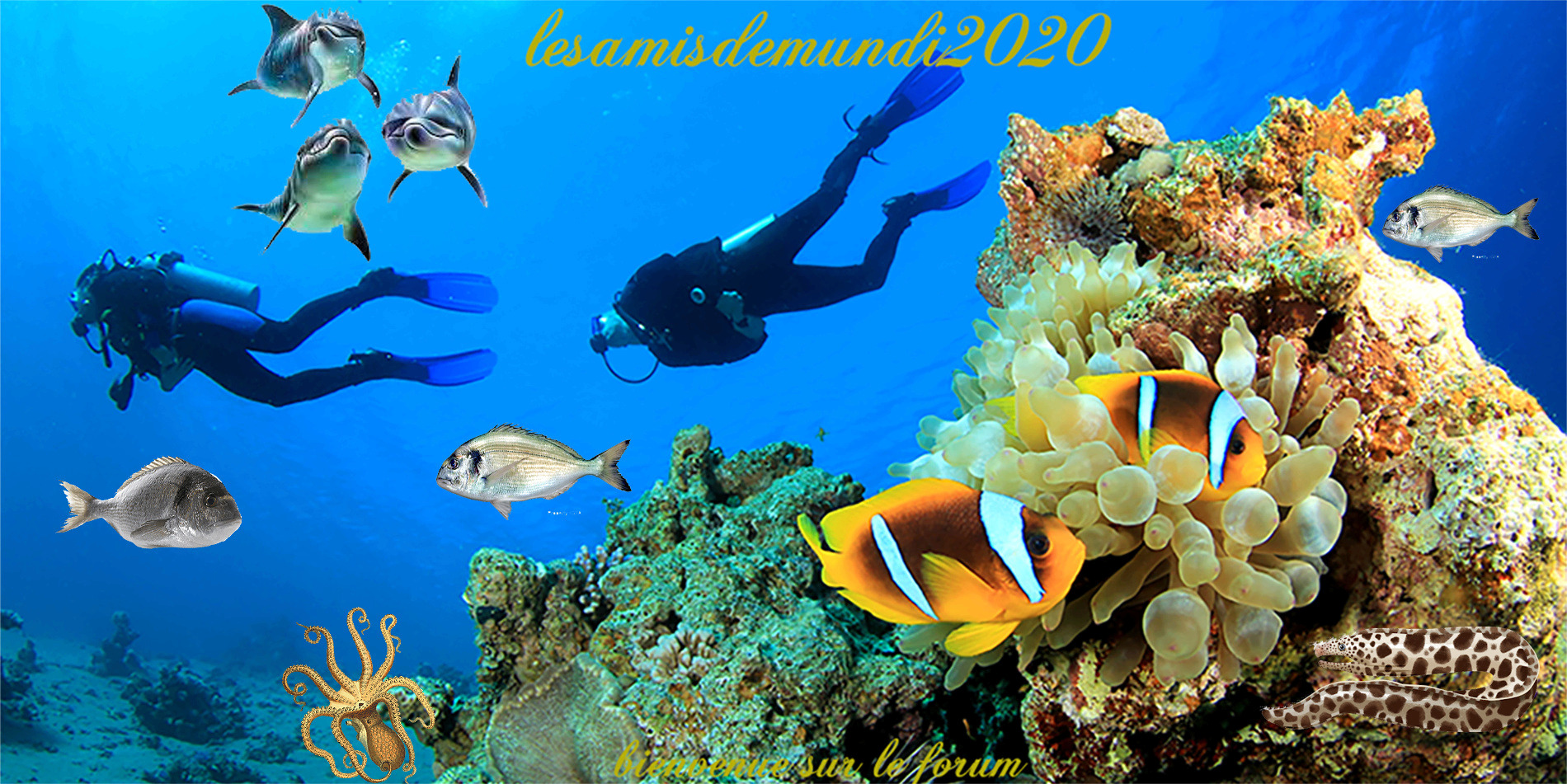 lesamisdemundi2020