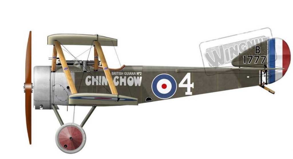 [Wingnut Wings] Sopwith Pup RFC - "Chin-Chow"- Lt. Arthur Stanley Gould Lee - 1917   1/32 00314