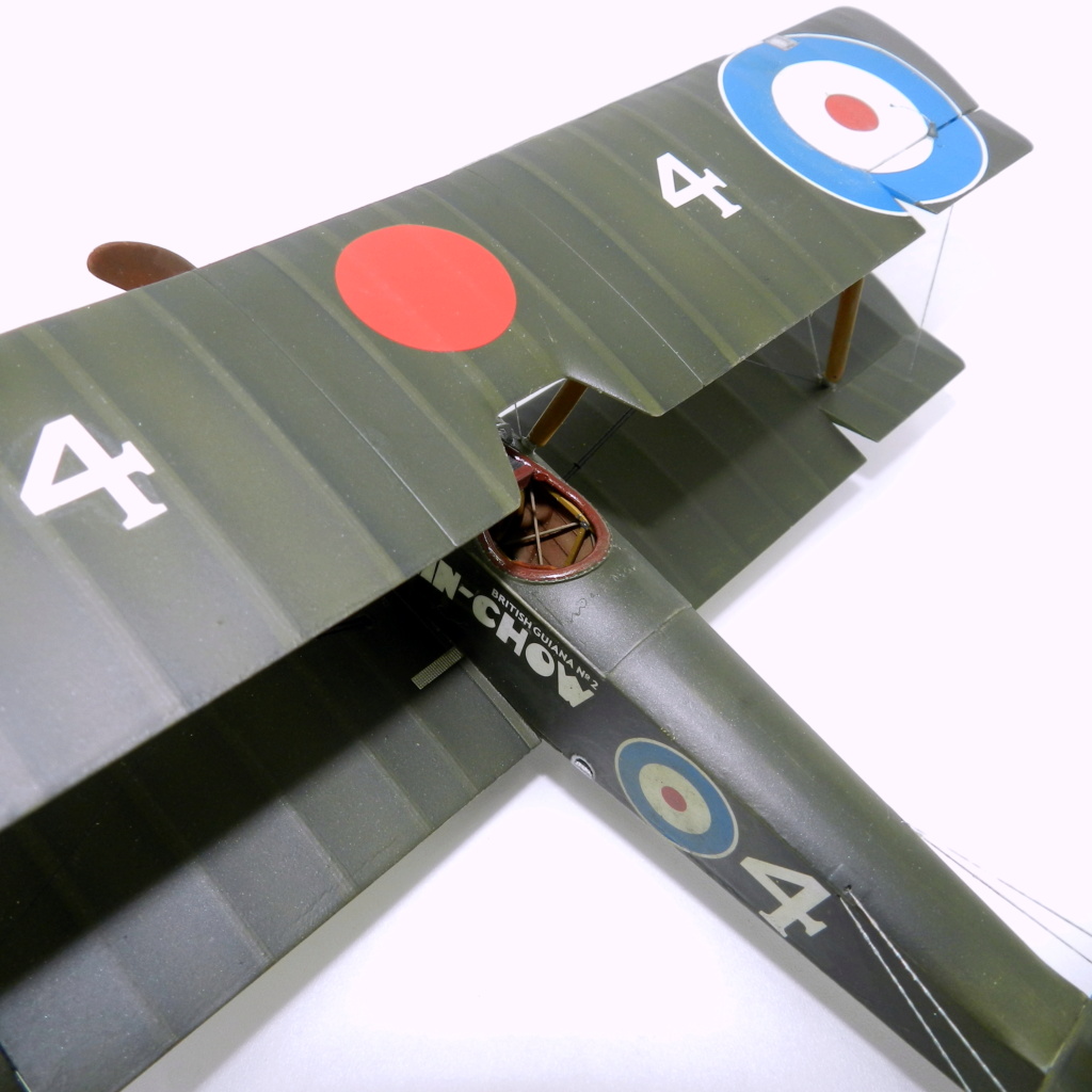 Sopwith Pup RFC 1/32 (Wingnut Wings) [TERMINE] - Page 3 01910