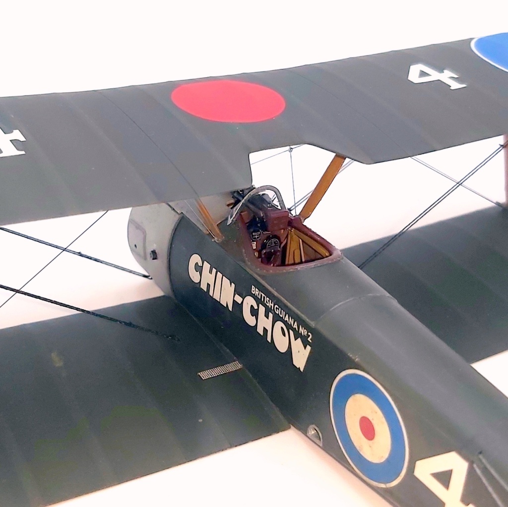 Sopwith Pup RFC 1/32 (Wingnut Wings) [TERMINE] - Page 2 20230525