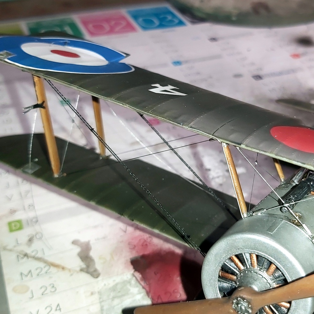 Sopwith Pup RFC 1/32 (Wingnut Wings) [TERMINE] - Page 3 20230551
