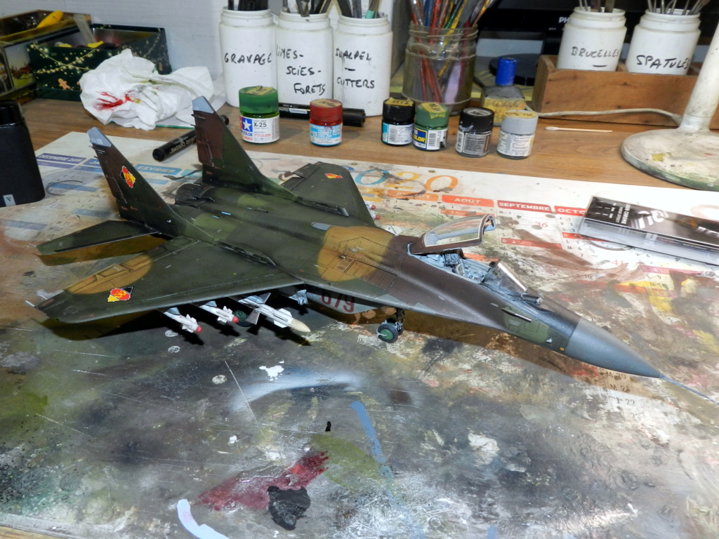 [Great Wall Hobby] 1/48 - Mikoyan-Gourevitch Mig-29 9-12 Fulcrum (A) JG3 LSK/LV DDR (RDA)  - Page 5 Dscn1812