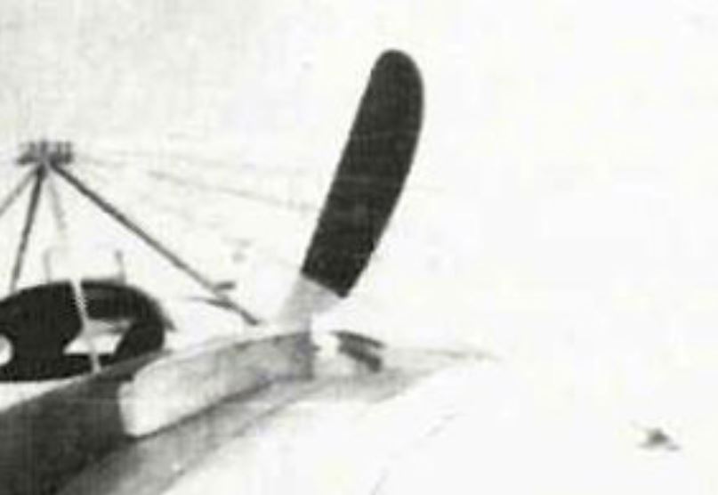 Nieuport IV.G (1/48) - Piotr Nikolaïevitch Nesterov - 1913 - Page 5 Hzolic15