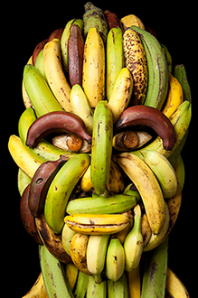 Les beaux arts des fruits... Bandas10