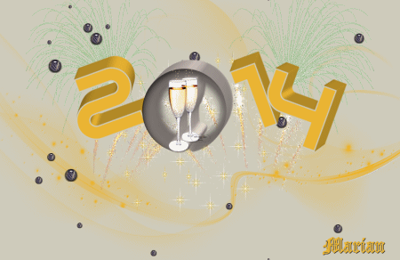 Nieuwjaars les - 2014 Anima154