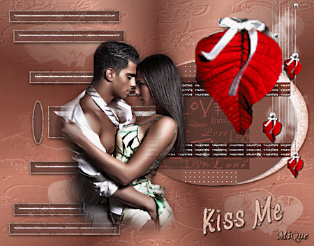  Valentijn les - Kiss Me Anima181