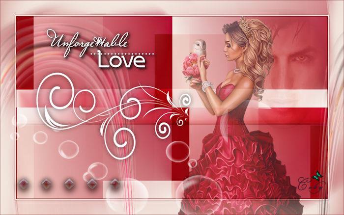  Valentijn les - Unforgettable Love Coby126