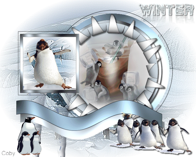 Winter les - Penguins Coby32