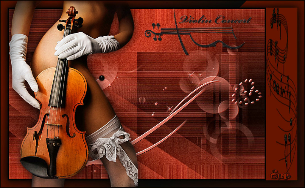 Tag lessen 3 - Violin concert Emi21