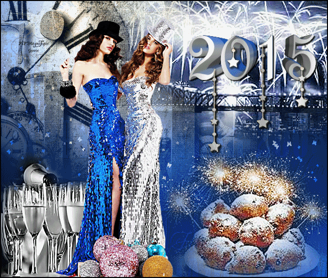 Nieuwjaars les - Happy 2010  /  2015 Extrag29