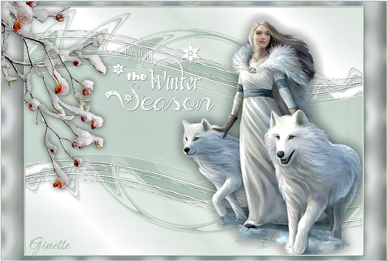 Winter les - Enjoy the winter season Ginett15