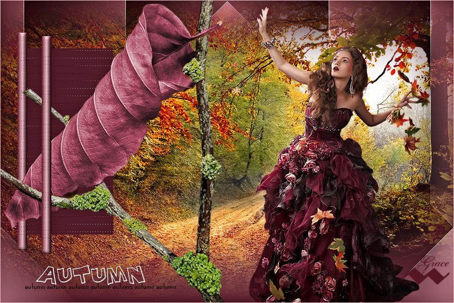 Herfst/Autumn  - Colourful fall Grache15