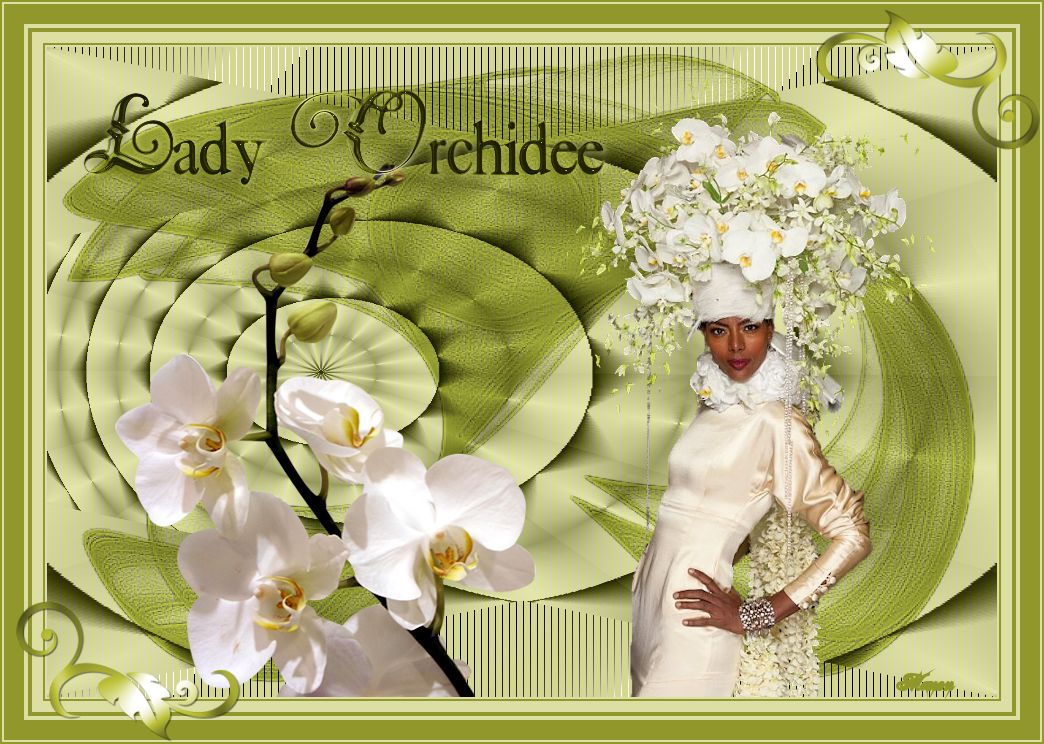 Tag lessen 2 - Lady Orchidee Manon29