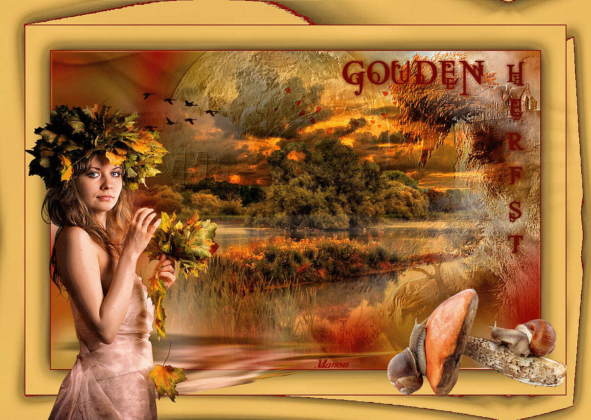 Herfst/Autumn - Gouden Herfst Manon_15
