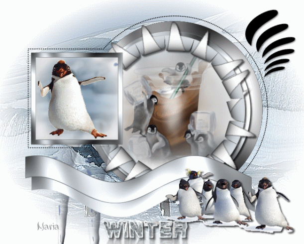 Winter les - Penguins Maria10